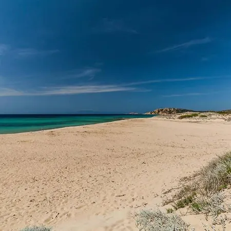Bella Casa Con Giardino A 10 Minuti Dal Mare 公寓 阿列恩图
