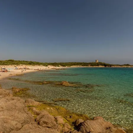 公寓 Bella Casa Con Giardino A 10 Minuti Dal Mare